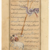 Hydra (al-Shajâ') [top]; Centaurus (Qantaurus) [bottom]