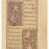 Two nude dwarfs who inhabit trees on the island of Râmî (Jazîrat al-Râmî), today known as Sumatra [top]; Similar to f.75v top [bottom]
