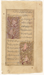 Two nude dwarfs who inhabit trees on the island of Râmî (Jazîrat al-Râmî), today known as Sumatra [top]; Similar to f.75v top [bottom]