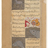 A deer that lives in the sea [top]; Two men on the island of Vaqvaq frighten away a huge fish by beating a drum [middle]; A large fish with a humped back [bottom]