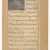A fish with tusks like a boar