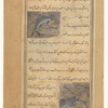 A human-headed fish of the Indian Ocean and three smaller fish [top]; A large fish swallowing another fish and four small fish swimming nearby [bottom]