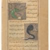 A green saw-nosed fish surrounded by four smaller fish [top]; A black sea serpent with blue spots and a horn on its tail