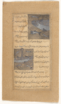 Various fish, one shown with the head of a lion [top]; Various fish [bottom]