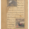 A monster found in the Sea of Turkey (Bahr-i Rûm) [top]; A strange bird of the Maghrib Sea that lays its eggs in quiet waters [bottom]