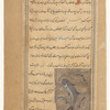 Dolphin (dalfîn)