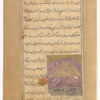 Tortoise (sulahfât)