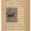 Water horse (faras al-mâ')