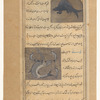 Sea porcupine (qunfud al-mâ') [top]; Seal (qûqî) [bottom]