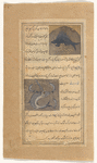 Sea porcupine (qunfud al-mâ') [top]; Seal (qûqî) [bottom]