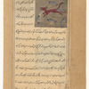 Water dog (kalb al-mâ')