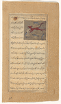 Water dog (kalb al-mâ')