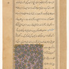 Apple tree (tîb, or sîb)