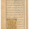 Sumac (sumâq)