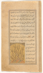 Sumac (sumâq)