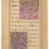 Orange tree (nâranj) [top]; Coconut tree (nârjîl) [bottom]