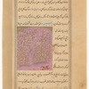 Jasmine (yâsamîn)