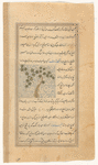 A vine that grows around trees and makes the fruit bitter (akbalausars)