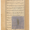 Egyptian bean (tarmus)