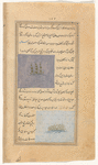 The herb alkali, or saltwort (huruz) [Misspeled - hurus] [top];  Lotus clover (handqûq) [bottom]