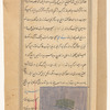 Hellebore (kharbuq)