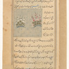 Mallows (khatmî)