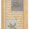 Cucumber (khiyâr) [top]; A small cucmber (khiyârza) [bottom]