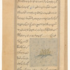 Rue (sadâb)