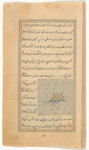 Rue (sadâb)