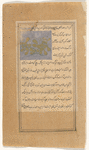 Gourd (yaqtîn)