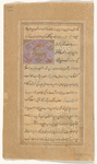 Tortoise (sulahfât)