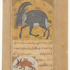 A fabulous Tibetan beast (sannâjah).  A heavy deer with large head and long horns; it is the largest of all land animals. It can also be represented as a crocodile with flames around its haunches [top]; Rabbit (name omitted) [bottom]