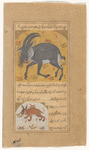 A fabulous Tibetan beast (sannâjah).  A heavy deer with large head and long horns; it is the largest of all land animals. It can also be represented as a crocodile with flames around its haunches [top]; Rabbit (name omitted) [bottom]