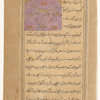 Lizard  (sanab)
