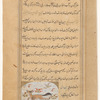 A fox like animal (ibn dil)