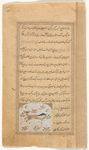 A fox like animal (ibn dil)