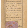 A red, weasel-like animal (ibn 'aras)