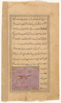 A red, weasel-like animal (ibn 'aras)