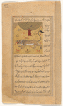Lion (asad)