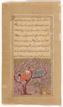 A youth in a tree defending himself with a knife against a lion that menaces him from below. A bear resting nearby branch