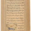 Wild cat (sannûr al-barrî)