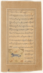 Wild cat (sannûr al-barrî)