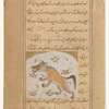 A fabulous beast that has  holes in its snout that are used for making music (sarâsh)
