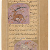 A type of unicorn found in remote areas of Rûm, Turkey (shâdhavâr). It has a single horn with holes in it so that a tune is played when the wind blows [top]; Hyena (zabu') [bottom]