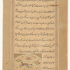Lynx ('anâq)