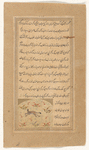 Lynx ('anâq)