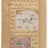 A gray, fox like creature (bayâz) [top]; Cheetah (fahd) [bottom]