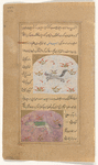 A gray, fox like creature (bayâz) [top]; Cheetah (fahd) [bottom]