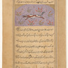 Leopard (namir)