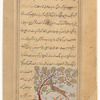 A large, antelope like creature with two long, heavy horns (hayûn)